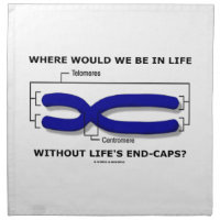 Where Would We Be In Life Without Life's End Caps? Printed Napkin