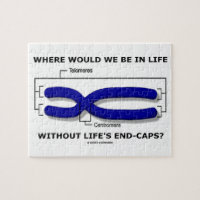 Where Would We Be In Life Without Life's End Caps? Puzzle