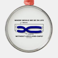Where Would We Be In Life Without Life's End Caps? Round Metal Christmas Ornament