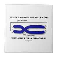 Where Would We Be In Life Without Life's End Caps? Small Square Tile