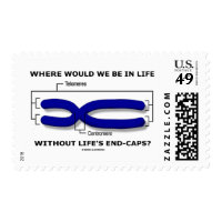 Where Would We Be In Life Without Life's End Caps? Stamps