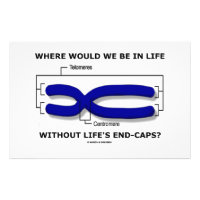 Where Would We Be In Life Without Life's End Caps? Stationery