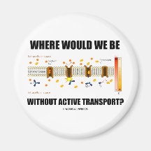Where Would We Be Without Active Transport? Fridge Magnets