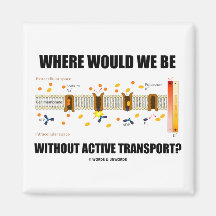 Where Would We Be Without Active Transport? Fridge Magnets