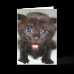 Where's Momma Greeting Card