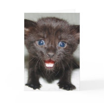 Where's Momma Greeting Card by GrumpyKittenGraphics Where's Momma Greeting Card