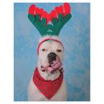 Where's my egg nog? letterhead