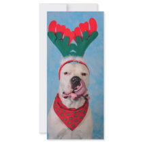Where's my egg nog? rack cards by lover196969 Where's my egg nog? rack cards
