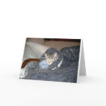 Where's My Hot Chocolate and Popcorn? Greeting Cards