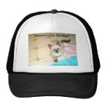 Where's my Shrimp Truckers Cap hats