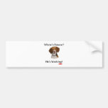 Where's Roscoe? Bumper Stickers