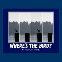 Where's the Bird? posters by rgtmum Where's the Bird? posters