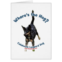 Where's the Hog Dog Greeting Cards