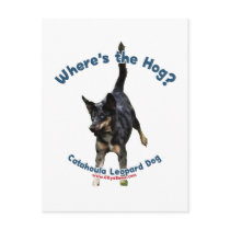 Where's the Hog Dog Postcard