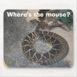Where's the mouse? mouse mats