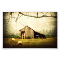 Wherever You May Roam, Always Call This Home Art Photo