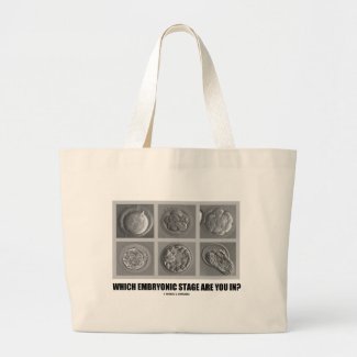 Which Embryonic Stage Are You In? (Embryos) Canvas Bags