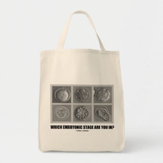 Which Embryonic Stage Are You In? (Embryos) Canvas Bags