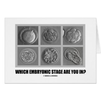 Which Embryonic Stage Are You In? (Embryos) Card