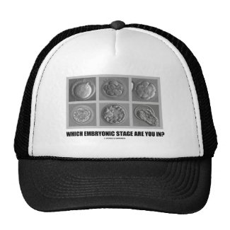 Which Embryonic Stage Are You In? (Embryos) Trucker Hats