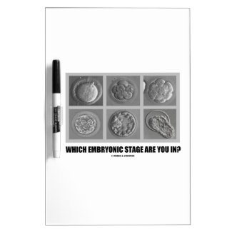Which Embryonic Stage Are You In? (Embryos Humor) Dry-Erase Whiteboard