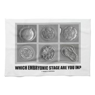 Which Embryonic Stage Are You In? (Embryos Humor) Towels