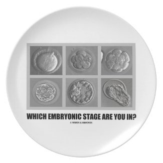 Which Embryonic Stage Are You In? (Embryos Humor) Party Plates