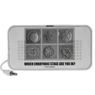 Which Embryonic Stage Are You In? (Embryos Humor) iPhone Speaker