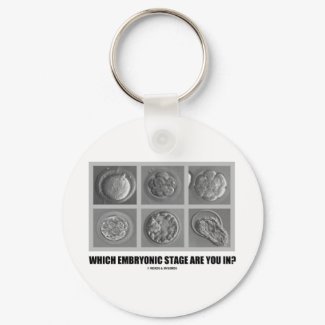 Which Embryonic Stage Are You In? (Embryos) keychain