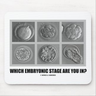 Which Embryonic Stage Are You In? (Embryos) mousepad