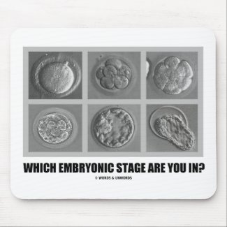 Which Embryonic Stage Are You In? (Embryos) Mousepads