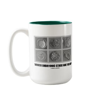 Which Embryonic Stage Are You In? (Embryos) mug