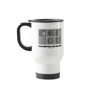 Which Embryonic Stage Are You In? (Embryos) mug
