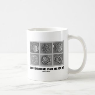 Which Embryonic Stage Are You In? (Embryos) Coffee Mug