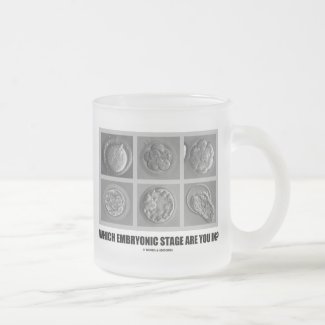 Which Embryonic Stage Are You In? (Embryos) Coffee Mug