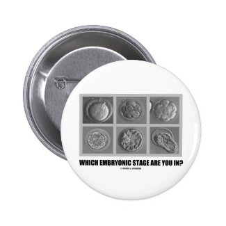Which Embryonic Stage Are You In? (Embryos) Pins