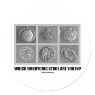 Which Embryonic Stage Are You In? (Embryos) sticker
