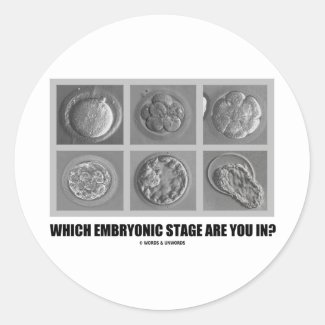 Which Embryonic Stage Are You In? (Embryos) Sticker