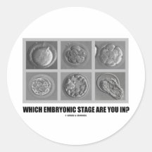 Which Embryonic Stage Are You In? (Embryos) Sticker
