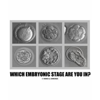 Which Embryonic Stage Are You In? (Embryos) shirt