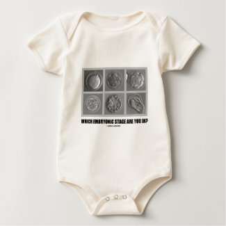 Which Embryonic Stage Are You In? (Embryos) shirt