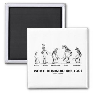 Which Hominoid Are You? (Hominid Skeletons) Fridge Magnets
