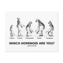Which Hominoid Are You? (Hominid Skeletons) Post Card