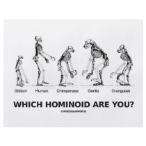 Which Hominoid Are You? (Homonoid Skeletons) flyers