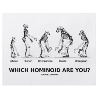 Which Hominoid Are You? (Homonoid Skeletons) flyer