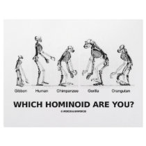 Which Hominoid Are You? (Homonoid Skeletons) letterhead