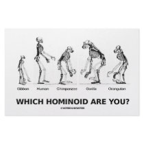 Which Hominoid Are You? (Homonoid Skeletons) stationery