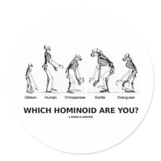 Which Hominoid Are You? (Homonoid Skeletons) sticker