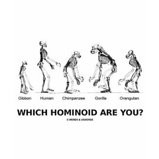 Which Hominoid Are You? (Homonoid Skeletons) shirt