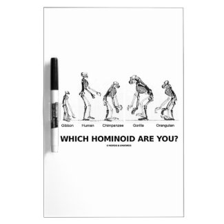 Which Hominoid Are You? (Skeletons Humor) Dry Erase Whiteboard